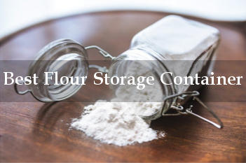 Flour Storage Containers That Fit 5 Pounds of Flour » the practical kitchen  in 2023