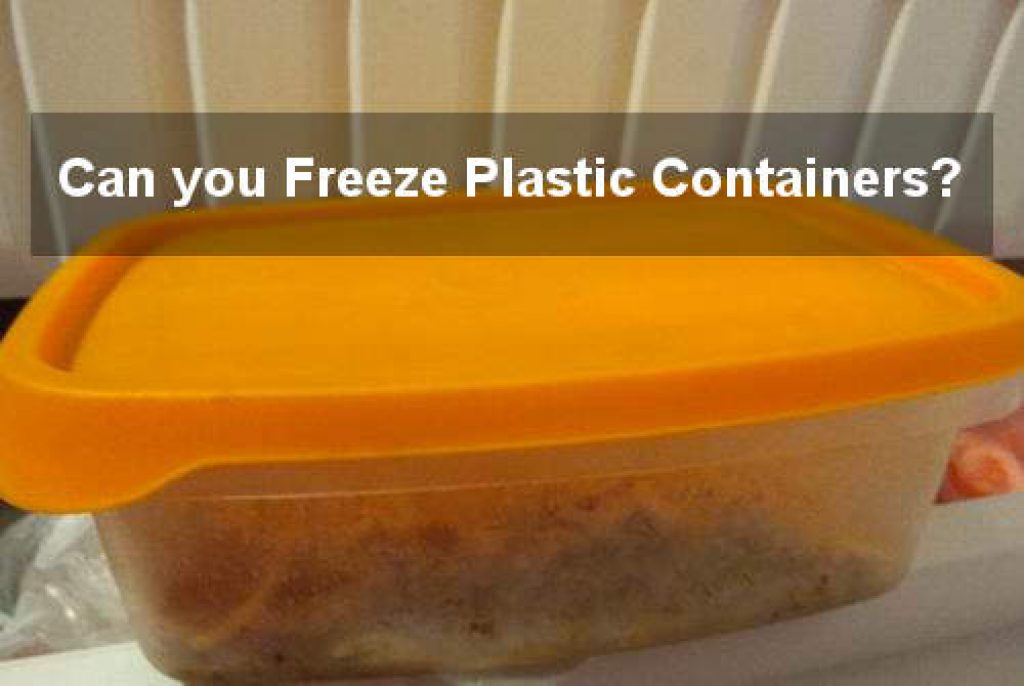 Can you Freeze Plastic Containers Storage Box Reviews