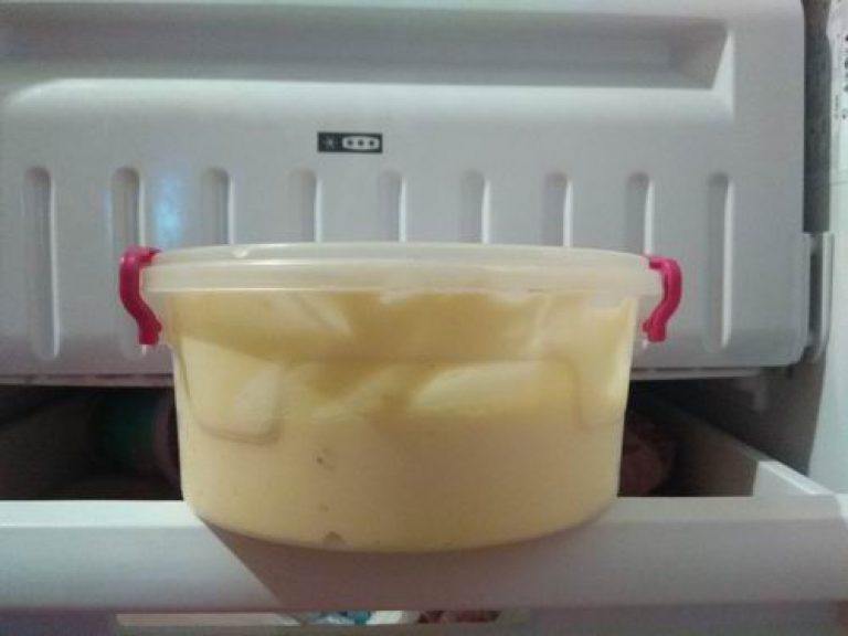 Can you Freeze Plastic Containers? Storage Box Reviews