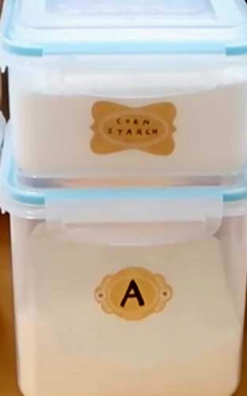How to Keep Bugs out of Flour or Cornmeal? Storage Box Reviews