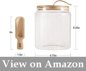 extra large glass container with lid