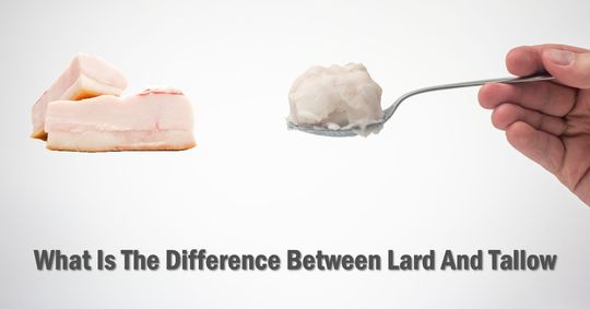 what is the difference between lard and tallow