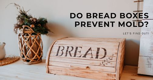 do bread boxes prevent mold